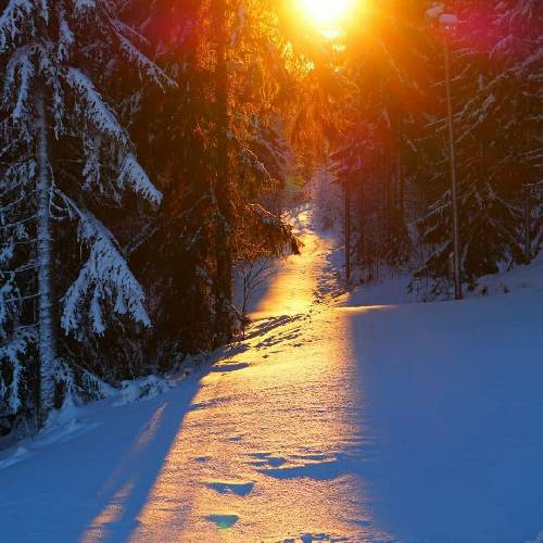 شاهین محمد حسینی غم ببار غم ببار واویی